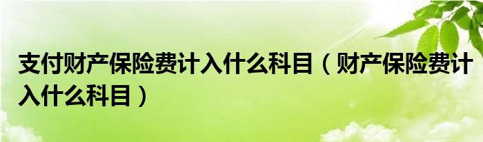 支付财产保险费计入什么科目（财产保险费计入什么科目）