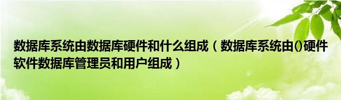 数据库系统由数据库硬件和什么组成（数据库系统由()硬件软件数据库管理员和用户组成）