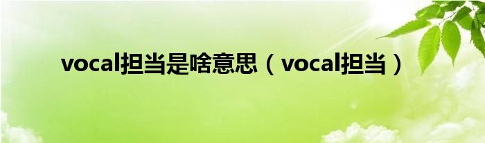 vocal担当是啥意思（vocal担当）