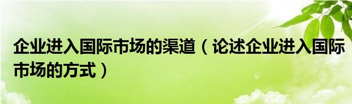 企业进入国际市场的渠道（论述企业进入国际市场的方式）