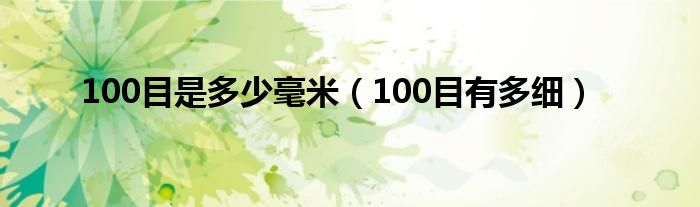 100目是多少毫米（100目有多细）