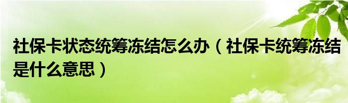 社保卡状态统筹冻结怎么办（社保卡统筹冻结是什么意思）