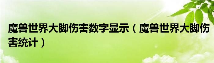 魔兽世界大脚伤害数字显示（魔兽世界大脚伤害统计）