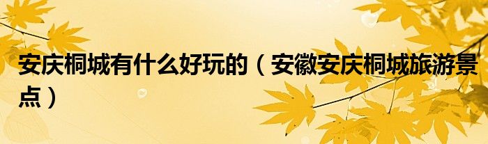 安庆桐城有什么好玩的（安徽安庆桐城旅游景点）