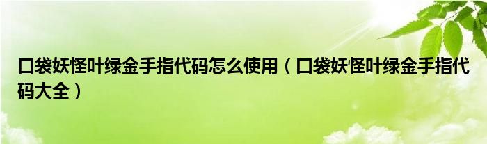 口袋妖怪叶绿金手指代码怎么使用（口袋妖怪叶绿金手指代码大全）