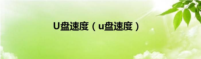 U盘速度（u盘速度）