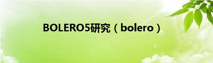 BOLERO5研究（bolero）