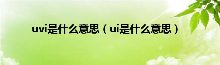 uvi是什么意思（ui是什么意思）