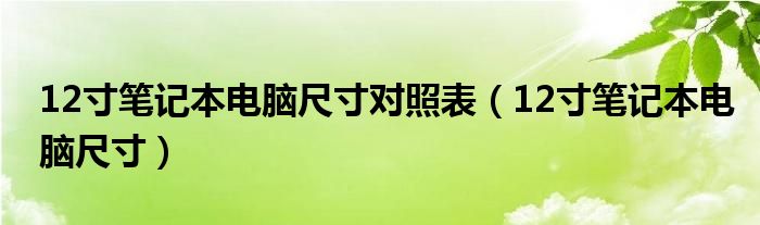 12寸笔记本电脑尺寸对照表（12寸笔记本电脑尺寸）