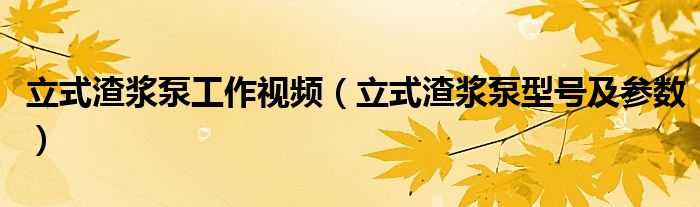 立式渣浆泵工作视频（立式渣浆泵型号及参数）