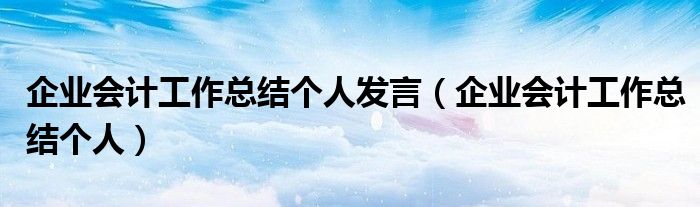 企业会计工作总结个人发言（企业会计工作总结个人）