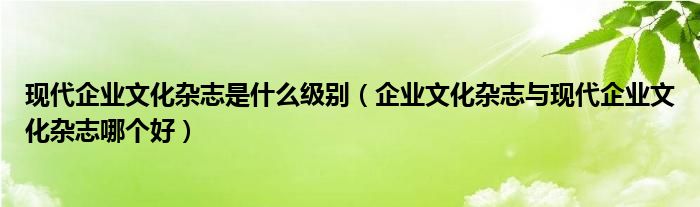 现代企业文化杂志是什么级别（企业文化杂志与现代企业文化杂志哪个好）