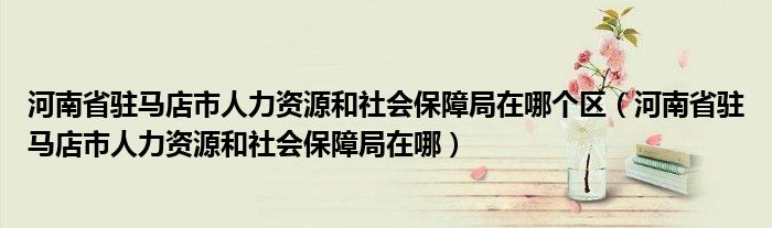 河南省驻马店市人力资源和社会保障局在哪个区（河南省驻马店市人力资源和社会保障局在哪）