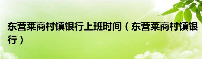 东营莱商村镇银行上班时间（东营莱商村镇银行）