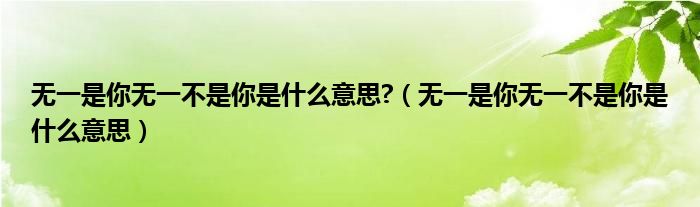 无一是你无一不是你是什么意思?（无一是你无一不是你是什么意思）