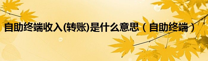 自助终端收入(转账)是什么意思（自助终端）