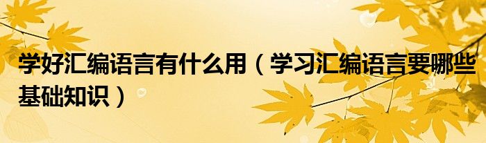 学好汇编语言有什么用（学习汇编语言要哪些基础知识）