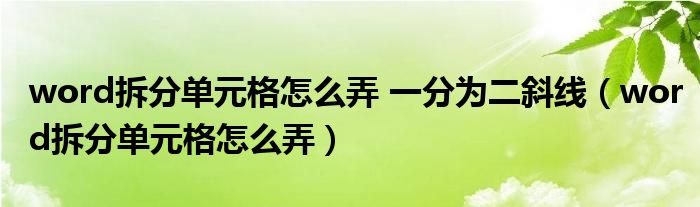 word拆分单元格怎么弄 一分为二斜线（word拆分单元格怎么弄）