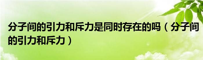 分子间的引力和斥力是同时存在的吗（分子间的引力和斥力）