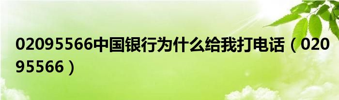 02095566中国银行为什么给我打电话（02095566）