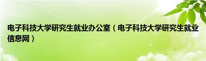 电子科技大学研究生就业办公室（电子科技大学研究生就业信息网）