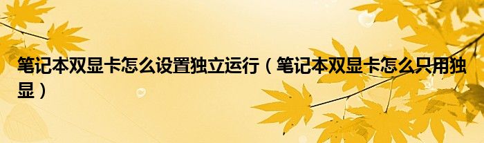 笔记本双显卡怎么设置独立运行（笔记本双显卡怎么只用独显）