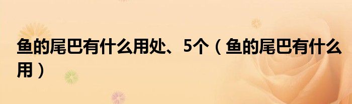 鱼的尾巴有什么用处、5个（鱼的尾巴有什么用）