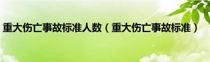 重大伤亡事故标准人数（重大伤亡事故标准）