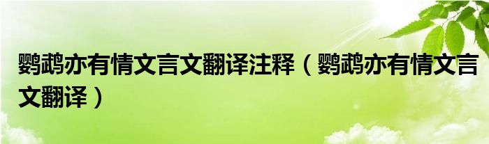 鹦鹉亦有情文言文翻译注释（鹦鹉亦有情文言文翻译）