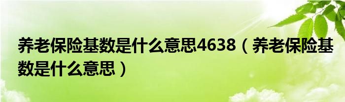 养老保险基数是什么意思4638（养老保险基数是什么意思）