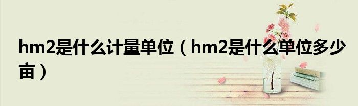 hm2是什么计量单位（hm2是什么单位多少亩）