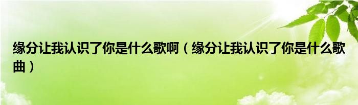 缘分让我认识了你是什么歌啊（缘分让我认识了你是什么歌曲）