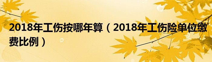 2018年工伤按哪年算（2018年工伤险单位缴费比例）