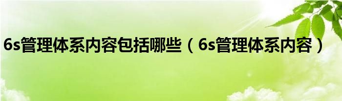 6s管理体系内容包括哪些（6s管理体系内容）