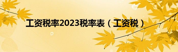 工资税率2023税率表（工资税）