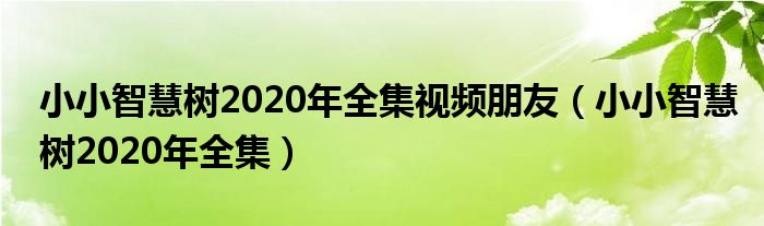 小小智慧树2020年全集视频朋友（小小智慧树2020年全集）