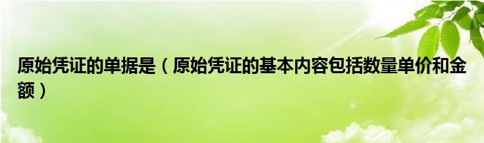 原始凭证的单据是（原始凭证的基本内容包括数量单价和金额）