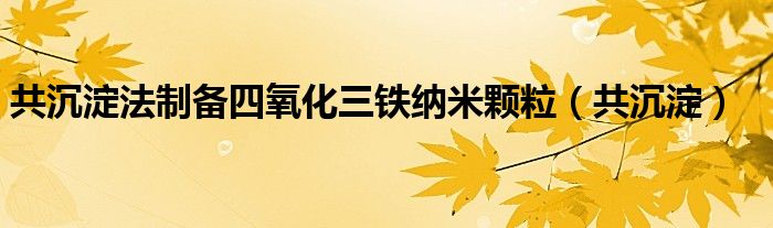 共沉淀法制备四氧化三铁纳米颗粒（共沉淀）