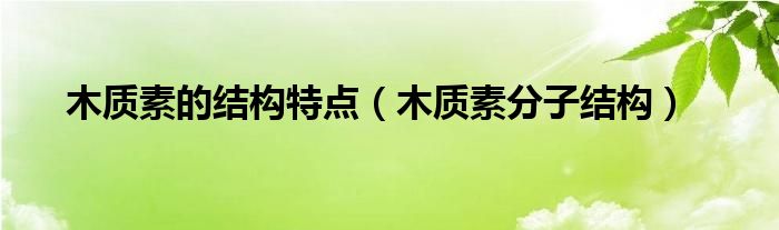 木质素的结构特点（木质素分子结构）