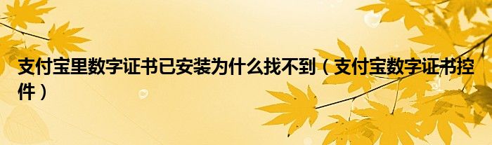 支付宝里数字证书已安装为什么找不到（支付宝数字证书控件）