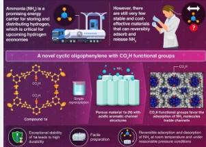 一种具有巨大高效氨存储潜力的单分子基有机多孔材料