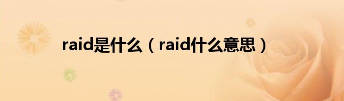 raid是什么（raid什么意思）