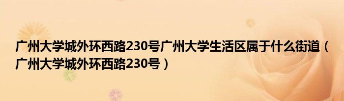 广州大学城外环西路230号广州大学生活区属于什么街道（广州大学城外环西路230号）