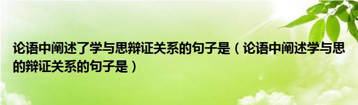 论语中阐述了学与思辩证关系的句子是（论语中阐述学与思的辩证关系的句子是）