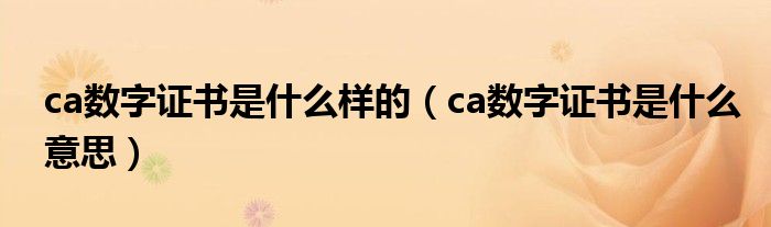 ca数字证书是什么样的（ca数字证书是什么意思）