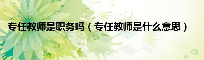 专任教师是职务吗（专任教师是什么意思）