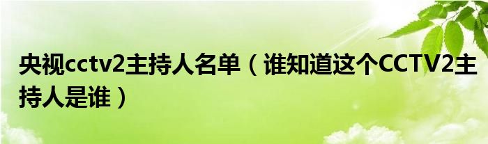 央视cctv2主持人名单（谁知道这个CCTV2主持人是谁）