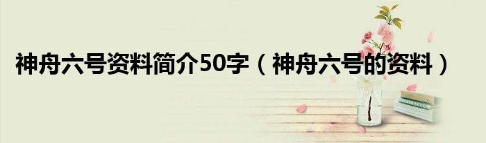 神舟六号资料简介50字（神舟六号的资料）