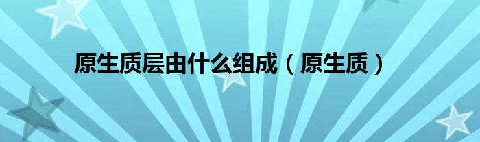 原生质层由什么组成（原生质）