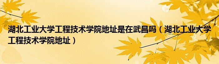 湖北工业大学工程技术学院地址是在武昌吗（湖北工业大学工程技术学院地址）